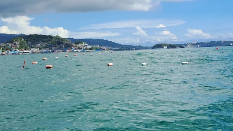 TNI AL Akan Tenggelamkan 100 Mobil di Laut Papua, Ini Tujuannya