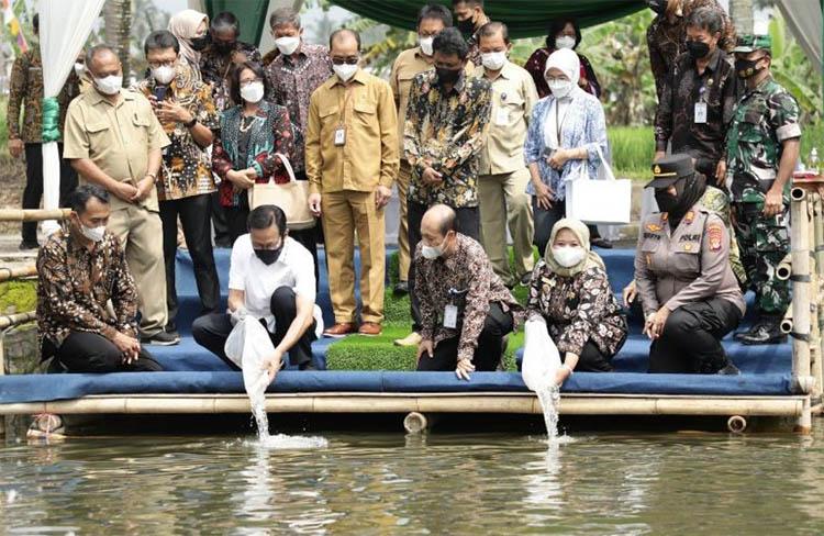 Resmikan Pasar Tradisional Perikanan, Sultan Ingin Pertumbuhan Ekonomi Ada di Kalurahan