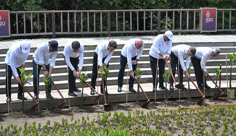 Presiden Jokowi Ajak Pemimpin Negara Anggota G20 Tanam Mangrove - Bagian 2