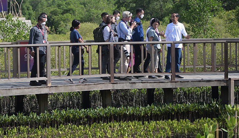 Presiden Jokowi Tampil Kasual bersama Wartawan Luar Negeri Kunjungi Tahura - Bagian 1