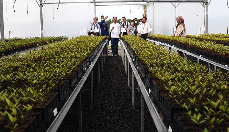 Presiden Jokowi Tampil Kasual bersama Wartawan Luar Negeri Kunjungi Tahura - Bagian 3