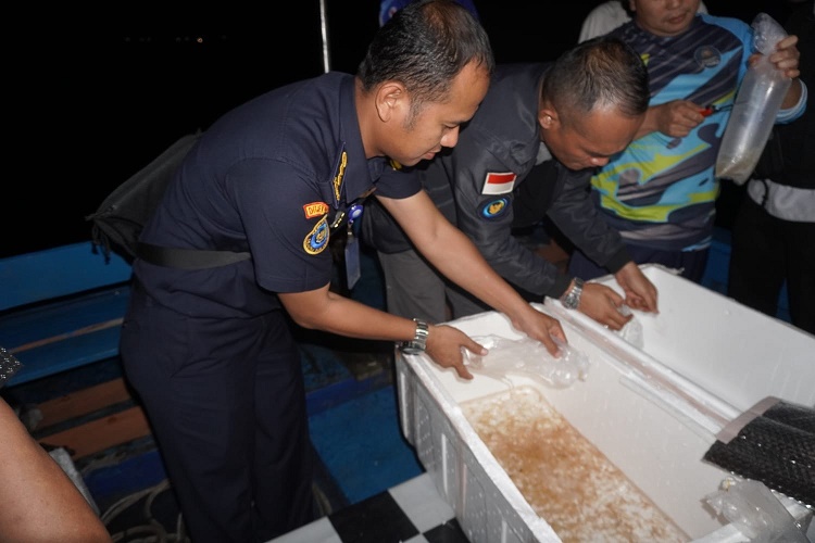 KKP Intensifkan Pengawasan Pengelolaan BBL di Jawa Barat
