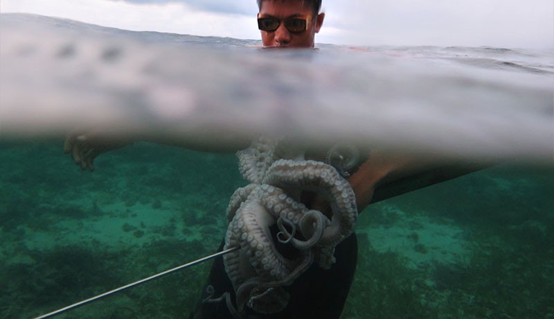 Nelayan Suku Bajo Berburu Gurita, Menyelam Gunakan Panah Tradisional - Bagian 3
