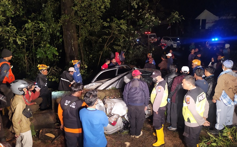 2 Minibus Tertimpa Pohon Tumbang di Tahura R Surya Mojokerto, 1 Tewas 2 Luka Berat 