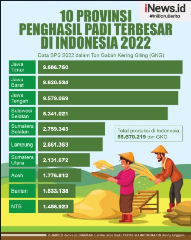 Infografis 10 Provinsi Penghasil Padi di Indonesia, Terbesar di Pulau Jawa
