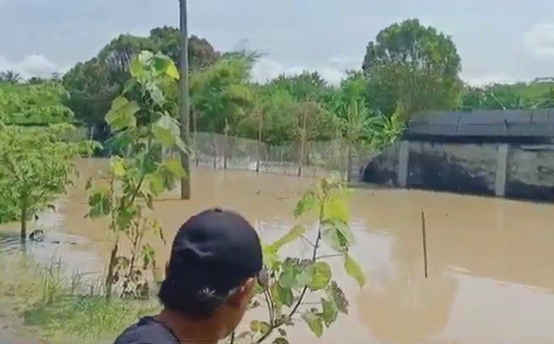 Tembok Penangkaran Buaya di Batu Bara Sumut Jebol Diterjang Banjir, Warga Resah dan Ketakutan