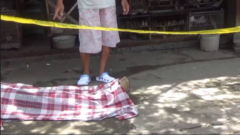 Hendak Beli Burung, Kakek di Jombang Tewas Tersungkur dari Motor