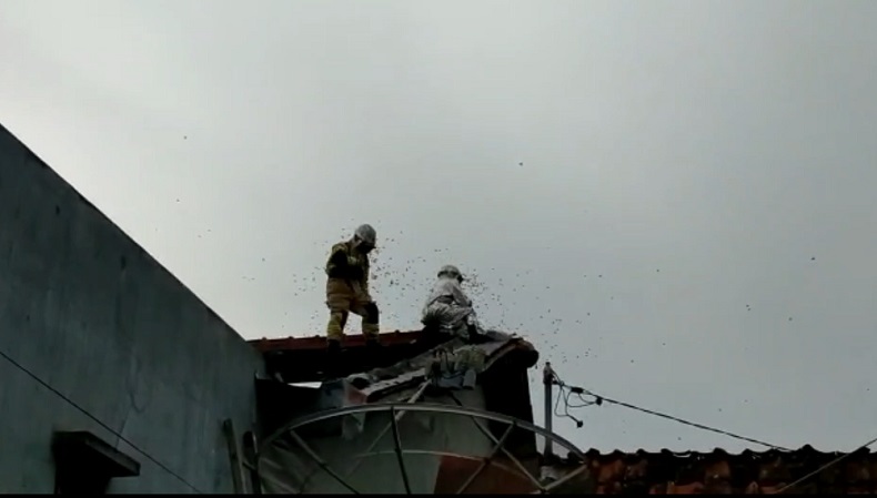 Disengat Tawon Vespa, 2 Petugas Damkar Bondowoso Terluka Dilarikan ke Puskesmas