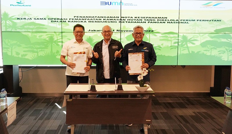 Manfaatkan Kawasan Hutan untuk Ketahanan Pangan, Perhutani Gandeng PTPN III Holding - Bagian 1
