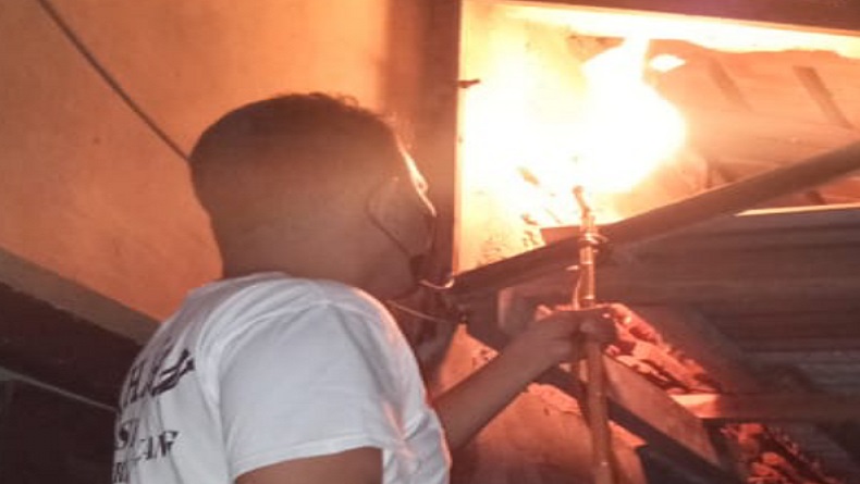 Sarang Dibakar, Gerombolan Tawon Vespa Serang Petugas Damkar Pemalang