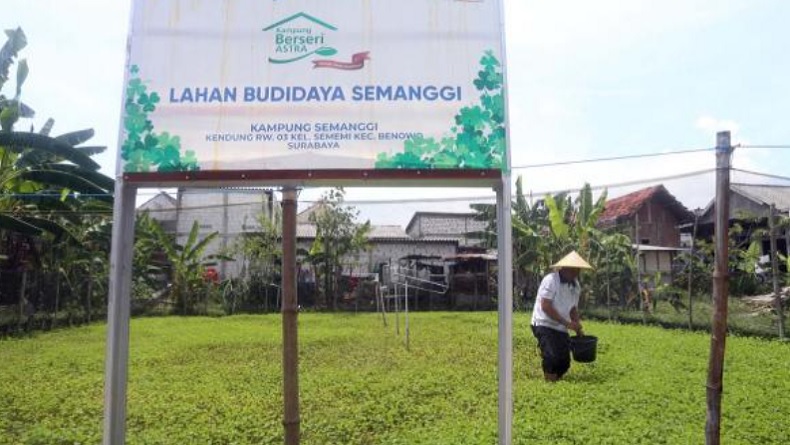 Deretan Nama Daerah yang Berasal dari Nama Sayuran, Ada Pare hingga Semanggi