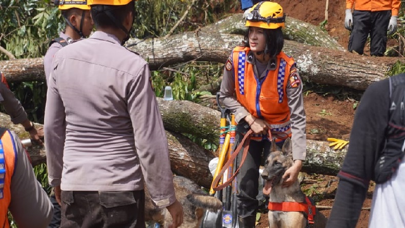 title Hari Ini Anjing Pelacak Temukan 2 Jenazah Korban Gempa di Cijedil Cianjur Hari Ini Anjing Pelacak Temukan 2 Jenazah Korban Gempa di Cijedil Cianjur