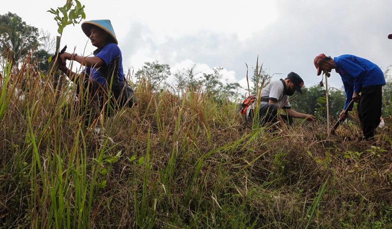 Selamatkan Lahan Kritis, Jateng Tanam Lebih dari 1 Juta Pohon