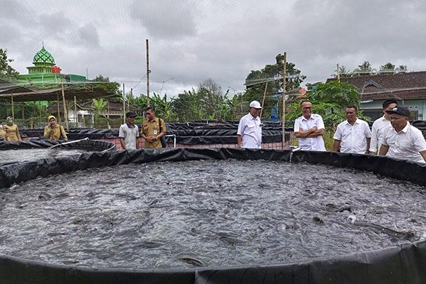 Budi Daya Ikan Lele di Kolam Terpal, Dinas Kelautan dan Perikanan Bantul Targetkan PAD Tiap Bulan
