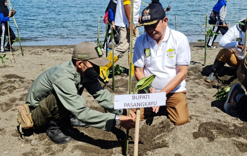 Bupati Pasangkayu Hadiri Gerakan Sulbar Menanam Mangrove di Desa Letawa