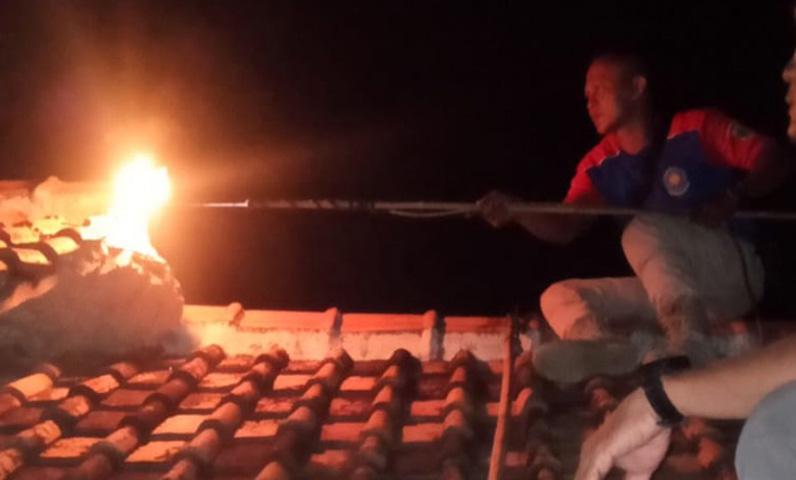  Ribuan Koloni Tawon Vespa Kembali Serang Pesisir Utara Pemalang, Warga Panik