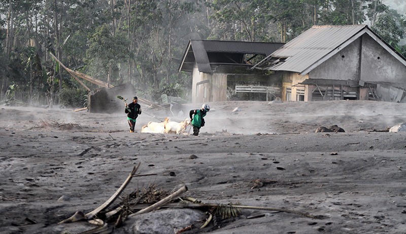 Dahsyatnya Letusan Gunung Semeru, Rumah Terkubur Abu Vulkanik - Bagian 2
