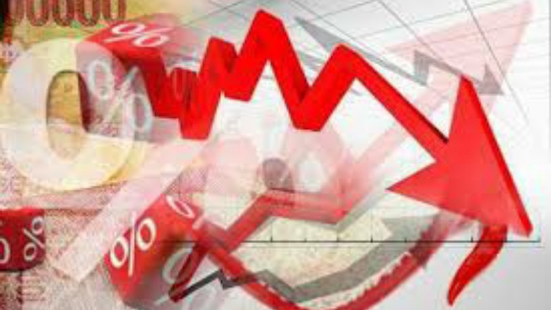 BPS Sebut Kemiskinan DIY Terselamatkan Program Kebun Sayur di Pekarangan