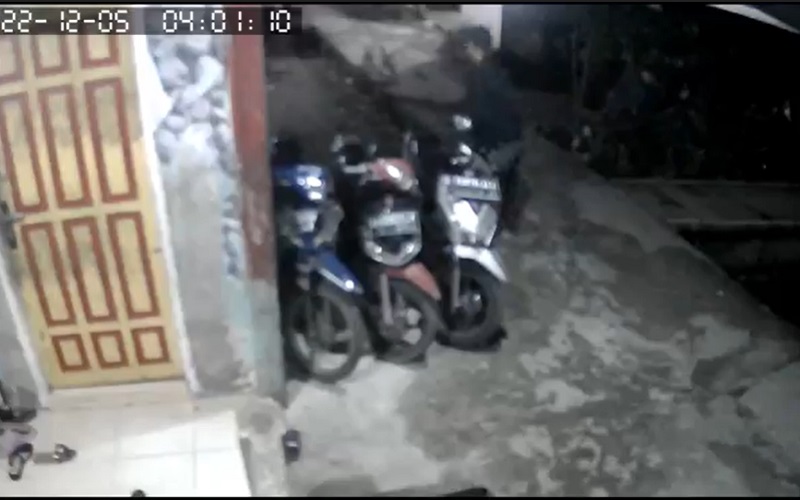 Pencurian Motor di Palembang Digagalkan Seekor Ayam, Pelaku Terekam CCTV