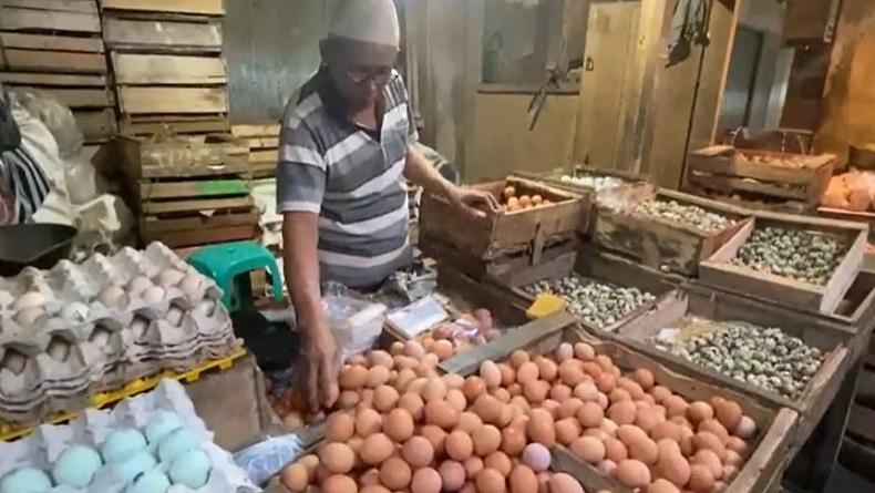 Harga Telur Ayam di Banjarnegara Meroket, Omzet Pedagang Anjlok 50 Persen