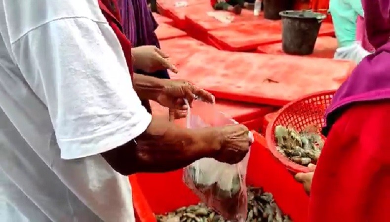 Ketiban Rezeki, Emak-Emak Bantu Bersihkan Muatan Truk Dapat Sekantong Plastik Udang