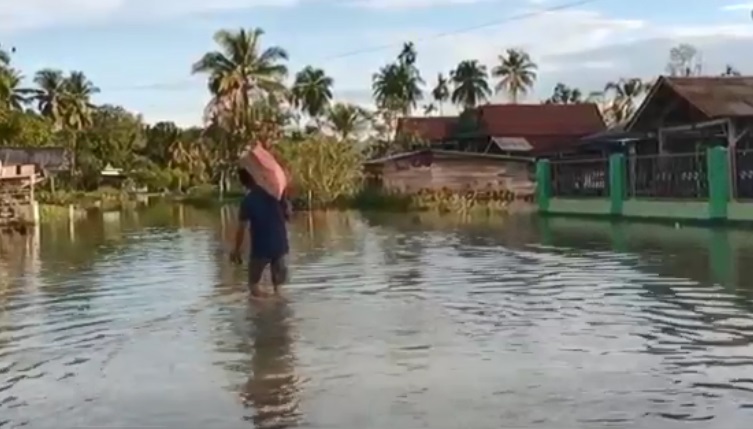 Tanggul Jebol, Ratusan Rumah Di Luwu Utara Terendam Banjir