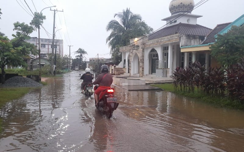 Hujan Lebat Semalaman, Pohon Tumbang dan Banjir Melanda Palembang 