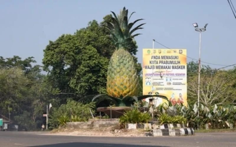 Prabumulih Kota Penghasil Nanas Termanis dan Kaya Minyak, Daerah Lain Jangan Sombong