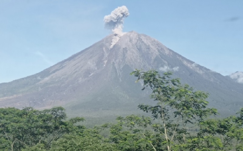 Gunung Semeru Erupsi Pagi Ini, Kolom Letusan Capai 700 Meter