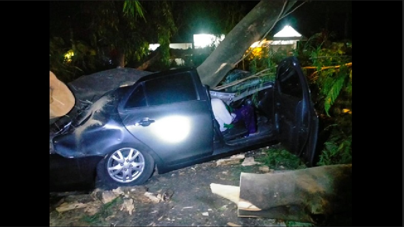 Pohon Tumbang Timpa Sedan dan Motor di Jember, 1 Tewas 4 Luka