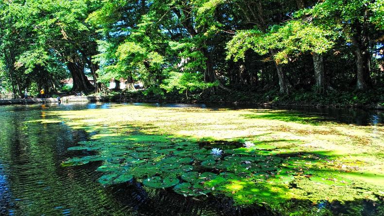 Kebon Balong Sangkanurip Kuningan, Tersembunyi Situs Sejarah Kuningan Ratusan Tahun