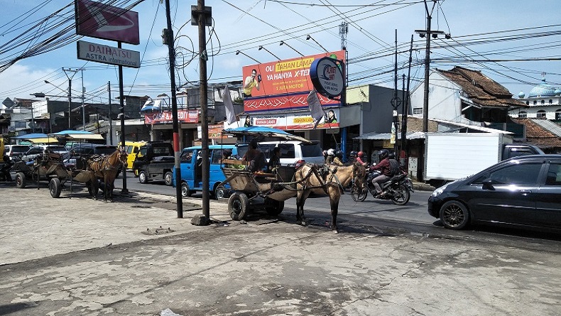 Delman Tersingkir di KBB, dari Jumlah Ratusan Kini Tinggal Belasan