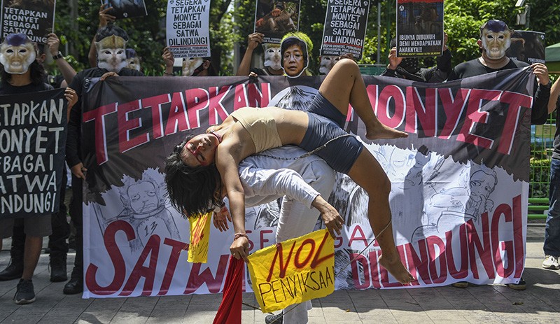 Aksi Dukung Monyet sebagai Satwa Dilindungi - Bagian 2