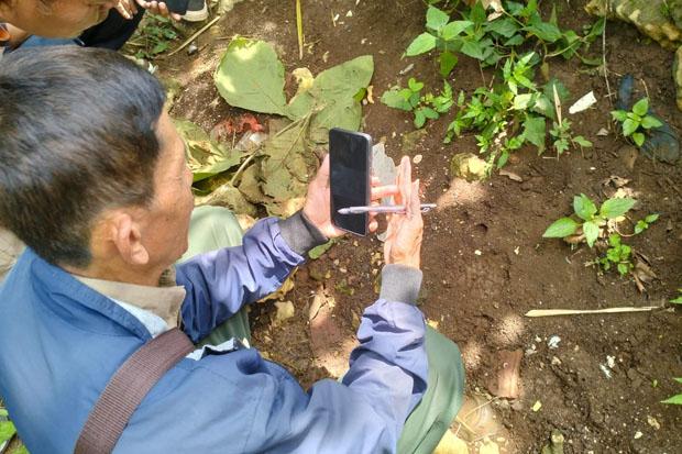 BKSDA Belum Bisa Pastikan Hewan yang Muncul di Ladang Milik Warga adalah Macan