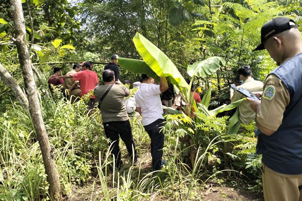 Muncul Macan, Warga Takut ke Ladang meski Sudah Ada Patroli