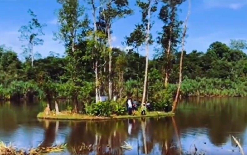 title Keunikan Pulau Bergerak di Kalbar, Ikuti Arus Sungai pada Waktu Tertentu Keunikan Pulau Bergerak di Kalbar, Ikuti Arus Sungai pada Waktu Tertentu