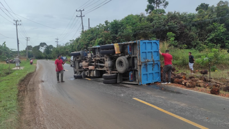 Hindari Pemotor Ibu-Ibu, Truk Muatan 7 Ton Sawit Terguling di Bangka Barat