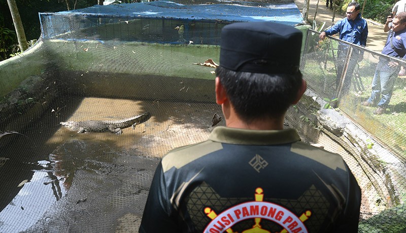 2 Ekor Monyet Ekor Panjang Mati, Bogor Mini Zoo Ditutup Sementara - Bagian 2