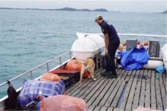 Kronologi Bea Cukai Batam Tangkap Kapal Bawa Barang Ilegal di Perairan Tanjung Riau