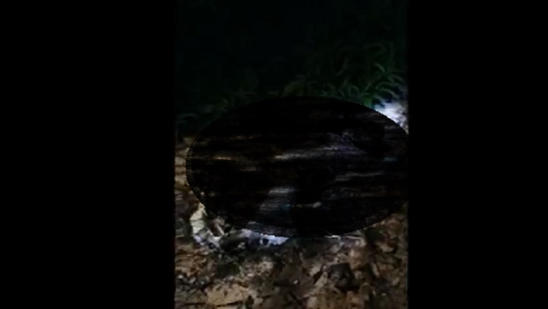 Nunukan Gempar, Mayat Wanita Terbakar Ditemukan di Kawasan Hutan Sei Jepun