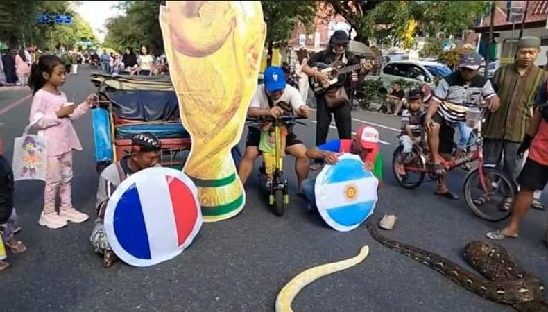  Bruno Ular Sanca Albino di Solo Ramal Juara Piala Dunia 2022, Argentina  atau Prancis?