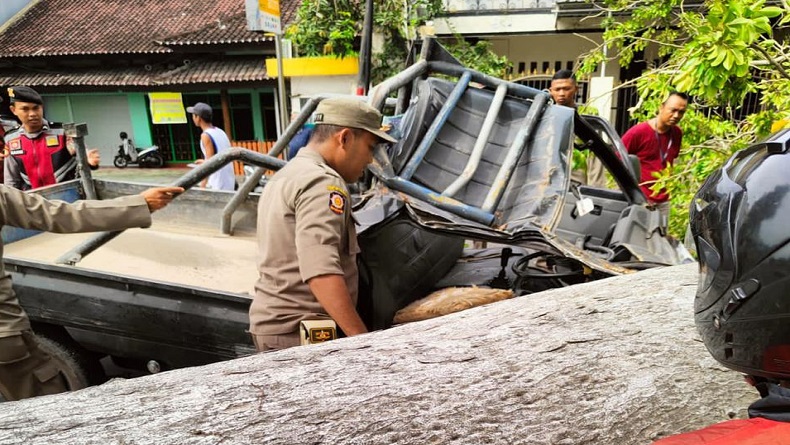 Pohon Tumbang Timpa Mobil Pikap hingga Ringsek, Sopir Luka-Luka