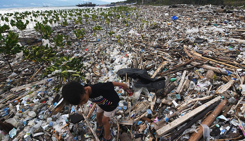 Pantai Palu Tercemar Lautan Sampah, Ancam Tanaman Mangrove - Bagian 1