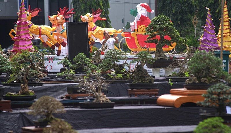 Festival Bonsai Bangkitkan Ekonomi Kreatif Kota Solo - Bagian 2