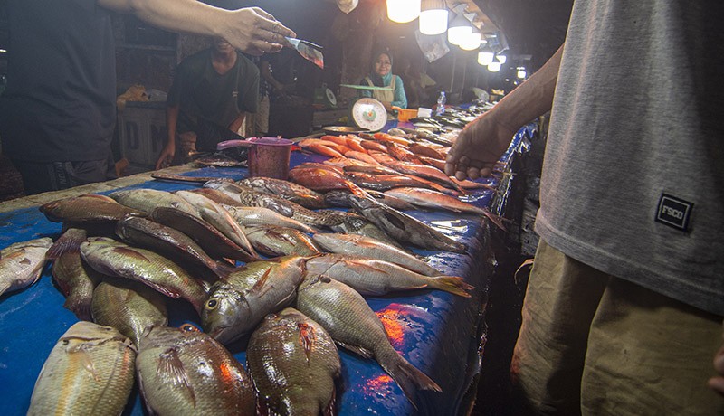 Pasokan Ikan Berkurang akibat Cuaca Buruk - Bagian 2