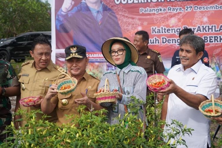 Bangun Ketahanan Pangan, Gubernur Kalteng Pimpin Panen Perdana Bawang Merah dan Cabai