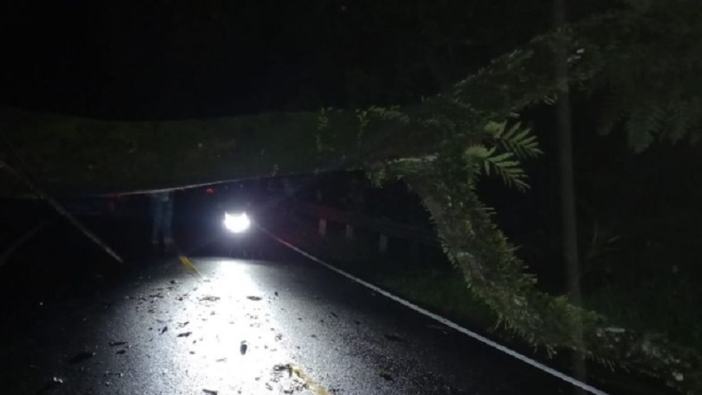 Hujan Deras Sebabkan Pohon Tumbang Tutup Jalan Penghubung Cisolok-Lebak, Listrik Padam