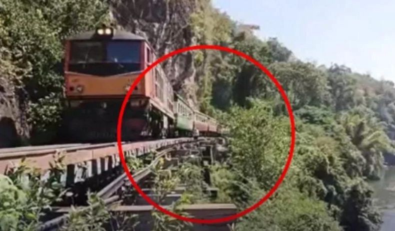 Terekam Kamera, Turis Tewas Masuk Jurang Setelah Jatuh dari Kereta saat Selfie