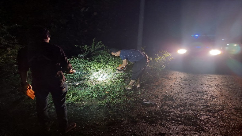 Dahan Patah Timpa 3 Orang di Pemalang, 1 Korban Luka Berat