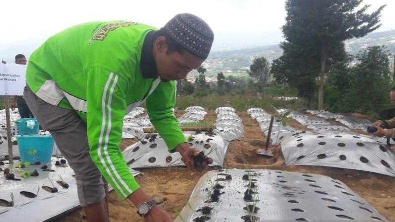 Petani Temanggung Coba Tanam Bawang Merah dengan Biji